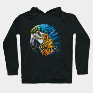 Parrot Colorful Fractal Modern Art Hoodie